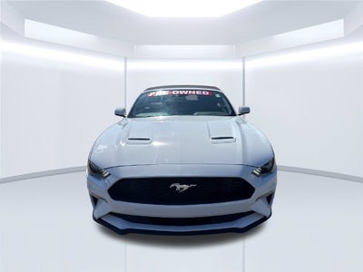 2022 Ford Mustang EcoBoost